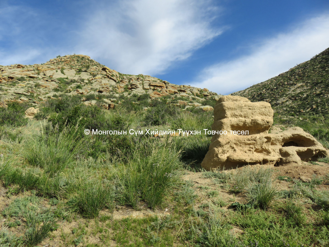 Mud brick temple detail